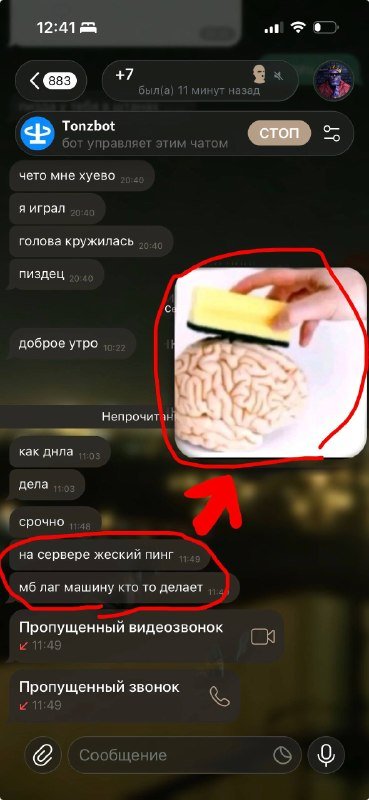 🌳 новости сервера 🌳